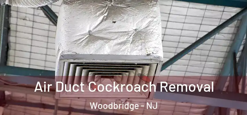  Air Duct Cockroach Removal Woodbridge - NJ
