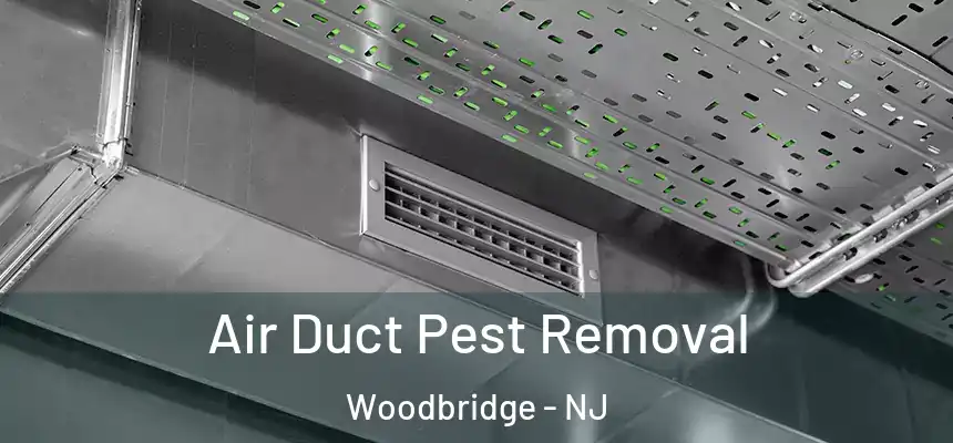  Air Duct Pest Removal Woodbridge - NJ