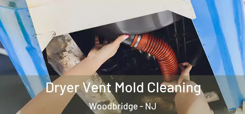 Dryer Vent Mold Cleaning Woodbridge - NJ