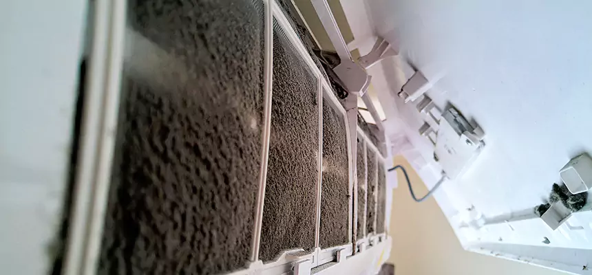 Preventive Air Duct Bacteria Removal in Woodbridge