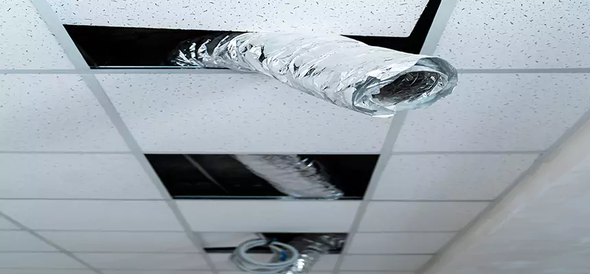 Our Air Duct Pet Hair Removal Services in Woodbridge, NJ