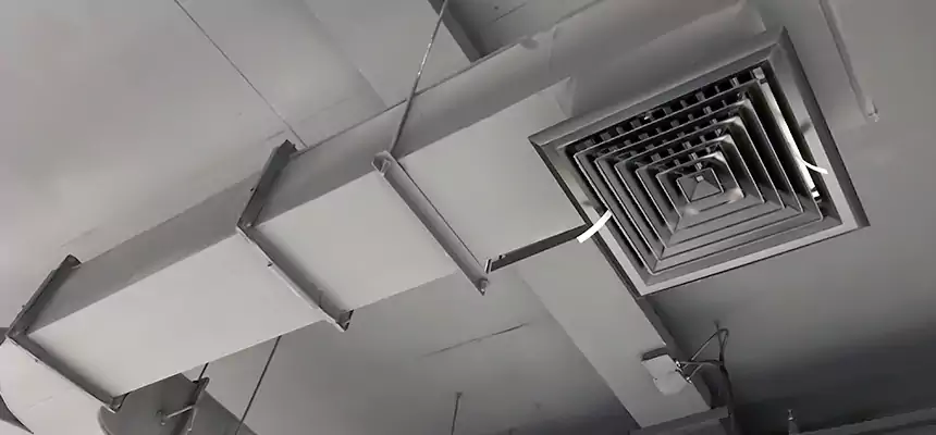 Restorative Allergy Relief Vent Cleaning – Coil, Blower & Housing Detail in Woodbridge