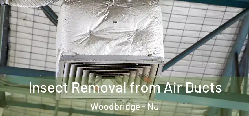 Insect Removal from Air Ducts Woodbridge - NJ