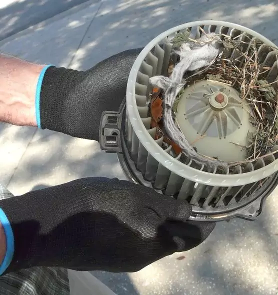 About Air Duct Mice Removal in Woodbridge, NJ