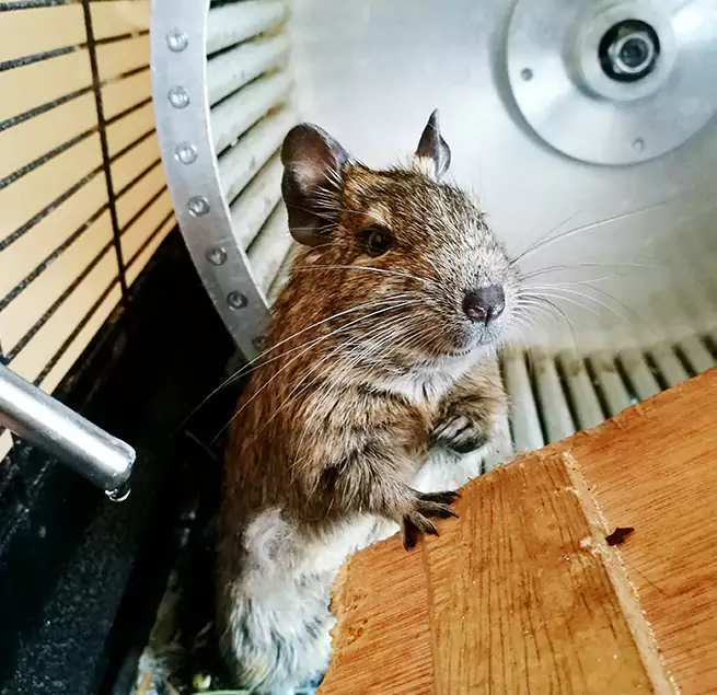 Why Homeowners & Businesses Trust Us Woodbridge, NJ