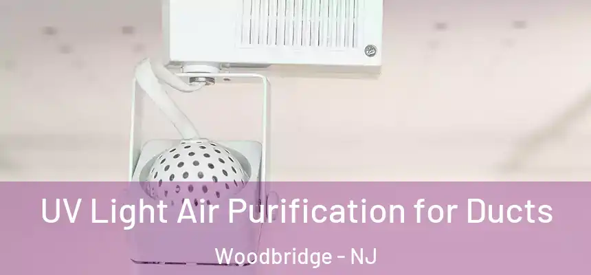  UV Light Air Purification for Ducts Woodbridge - NJ